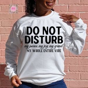 Do Not Disturb Funny Sweatshirt